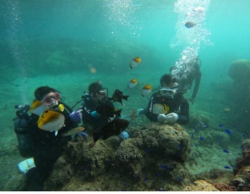 武藤潜水に投稿された画像（2025/10/11）