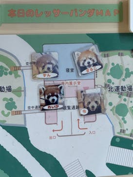 名古屋市東山動植物園に投稿された画像（2025/10/11）