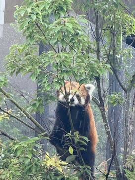名古屋市東山動植物園に投稿された画像（2025/10/11）