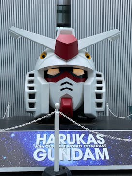 ハルカス300(展望台)に投稿された画像（2025/10/11）