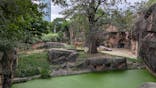 天王寺動物園に投稿された画像（2025/10/11）