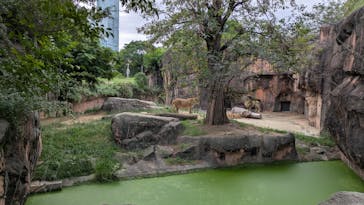 天王寺動物園に投稿された画像（2025/10/11）