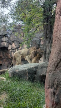 天王寺動物園に投稿された画像（2025/10/11）