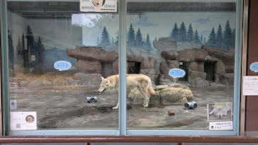 天王寺動物園に投稿された画像（2025/10/11）