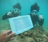 青の洞窟専門店　沖縄ダイビングショップ和に投稿された画像（2025/10/11）