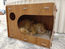 猫カフェPuchiMarry　イオンモールつくば店に投稿された画像（2025/10/11）