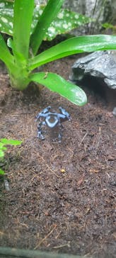 サンシャイン水族館に投稿された画像（2025/10/11）