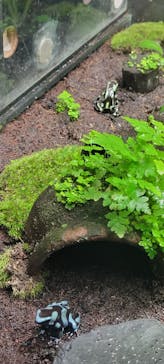 サンシャイン水族館に投稿された画像（2025/10/11）