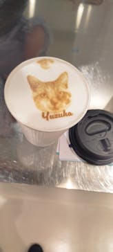 Cat Café MOFF つかしん店に投稿された画像（2025/10/11）