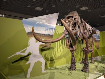 特別展「氷河期展 〜人類が見た4万年前の世界〜」（国立科学博物館）に投稿された画像（2025/10/11）