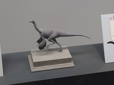 福井県立恐竜博物館に投稿された画像（2025/10/11）