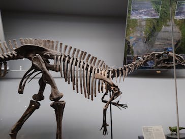 福井県立恐竜博物館に投稿された画像（2025/10/11）