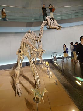 福井県立恐竜博物館に投稿された画像（2025/10/11）