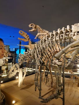 福井県立恐竜博物館に投稿された画像（2025/10/11）