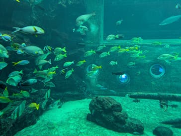 箱根園水族館に投稿された画像（2025/10/11）