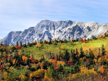 つがいけマウンテンリゾートに投稿された画像（2025/10/11）