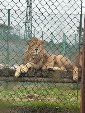 岩手サファリパークに投稿された画像（2025/10/11）