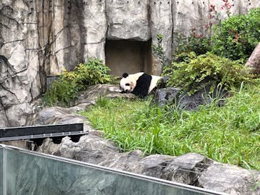 恩賜上野動物園に投稿された画像（2025/10/11）