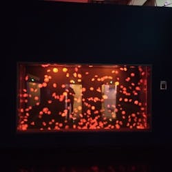 登別マリンパークニクスに投稿された画像（2025/10/11）