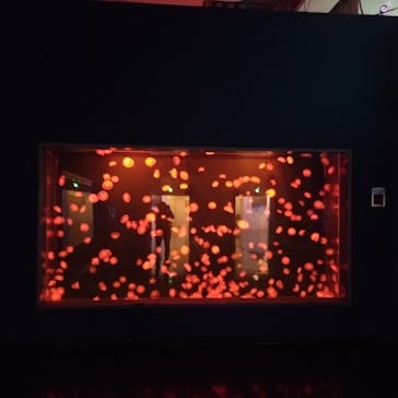 登別マリンパークニクスに投稿された画像（2025/10/11）