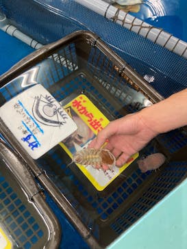 竹島水族館に投稿された画像（2025/10/11）