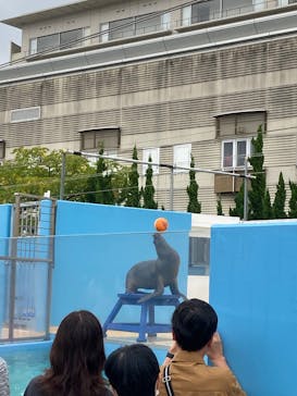 竹島水族館に投稿された画像（2025/10/11）