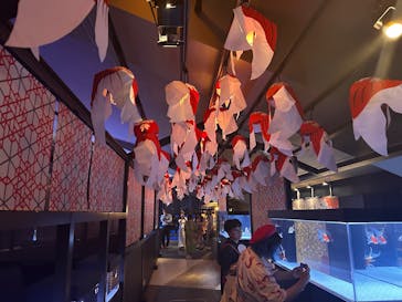 アソビュー！ポイントに投稿された画像（2025/10/11）