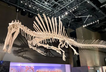 福井県立恐竜博物館に投稿された画像（2025/10/11）