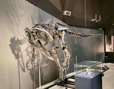 福井県立恐竜博物館に投稿された画像（2025/10/11）