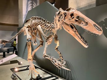 福井県立恐竜博物館に投稿された画像（2025/10/11）