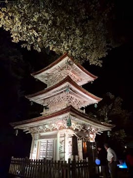 NAKED夜さんぽ™ 石川・那谷寺に投稿された画像（2025/10/11）