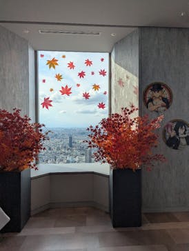 サンシャイン60展望台に投稿された画像（2025/10/11）