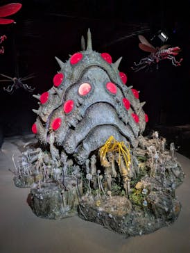 金曜ロードショーとジブリ展（静岡展）に投稿された画像（2025/10/11）