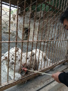 東武動物公園に投稿された画像（2025/10/11）