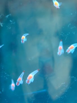 アクアワールド茨城県大洗水族館に投稿された画像（2025/10/11）