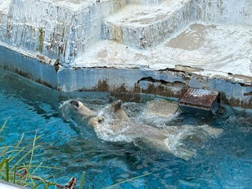 天王寺動物園に投稿された画像（2025/10/11）