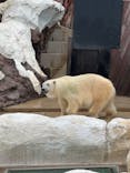 恩賜上野動物園に投稿された画像（2025/10/11）