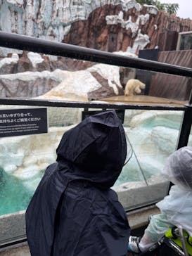 恩賜上野動物園に投稿された画像（2025/10/11）