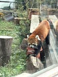 天王寺動物園に投稿された画像（2025/10/11）