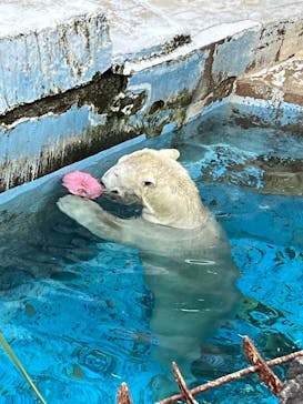 天王寺動物園に投稿された画像（2025/10/11）