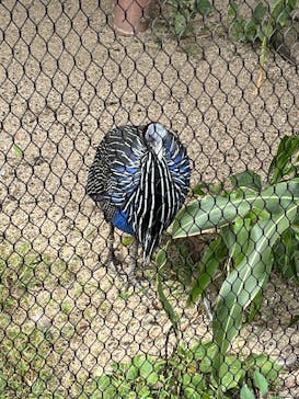天王寺動物園に投稿された画像（2025/10/11）