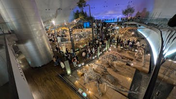 福井県立恐竜博物館に投稿された画像（2025/10/11）