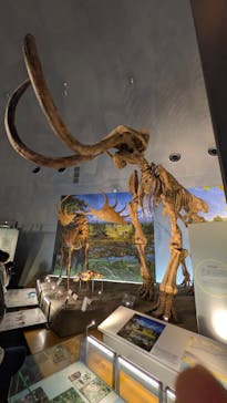 福井県立恐竜博物館に投稿された画像（2025/10/11）