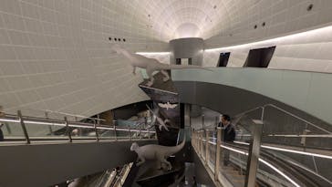 福井県立恐竜博物館に投稿された画像（2025/10/11）