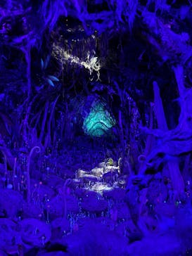 金曜ロードショーとジブリ展（静岡展）に投稿された画像（2025/10/11）