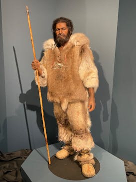 特別展「氷河期展 〜人類が見た4万年前の世界〜」（国立科学博物館）に投稿された画像（2025/10/11）