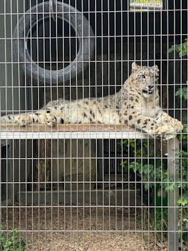 名古屋市東山動植物園に投稿された画像（2025/10/11）