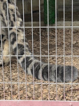 名古屋市東山動植物園に投稿された画像（2025/10/11）