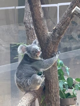 名古屋市東山動植物園に投稿された画像（2025/10/11）