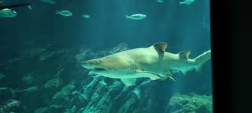 マリンワールド海の中道に投稿された画像（2025/10/11）